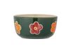 Bloomingville Bol Addy 36 cl Vert