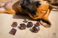 Q-Workshop dobbelstenen set honden Luna