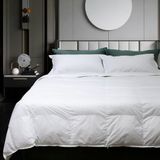 Gabel Nottetempo donsdekbed van ganzenveren, tweepersoonsbed, 205 x 250 x 3 cm, wit