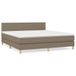 vidaXL Boxspringbed met matras, taupe, stof, 180x200 cm