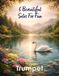 5 Beautiful Trumpet Solos for Fun: With FREE BACKING TRACKS and piano accompaniment: 28