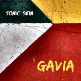 Berggren Sonic Skin - Berggren: Gavia (CD)