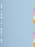 Intercalaires Exacompta 25x Tabbladen gerecycled karton 170g - 12 tabs - A4 - Geassorteerd - 1612E