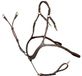 Harry's Horse Borsttuig Luxe Brun - Cob