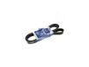 DT Spare Parts V-riem met ribben 4.80765