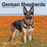 German Browntrout German Shepherds 2027 7 X 14 Inch (Hanging) Monthly Mini Wall Calendar
