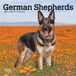 German Browntrout German Shepherds 2027 7 X 14 Inch (Hanging) Monthly Mini Wall Calendar