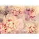 Papier peint panoramique - Fleurs - 260 cm x 189 cm