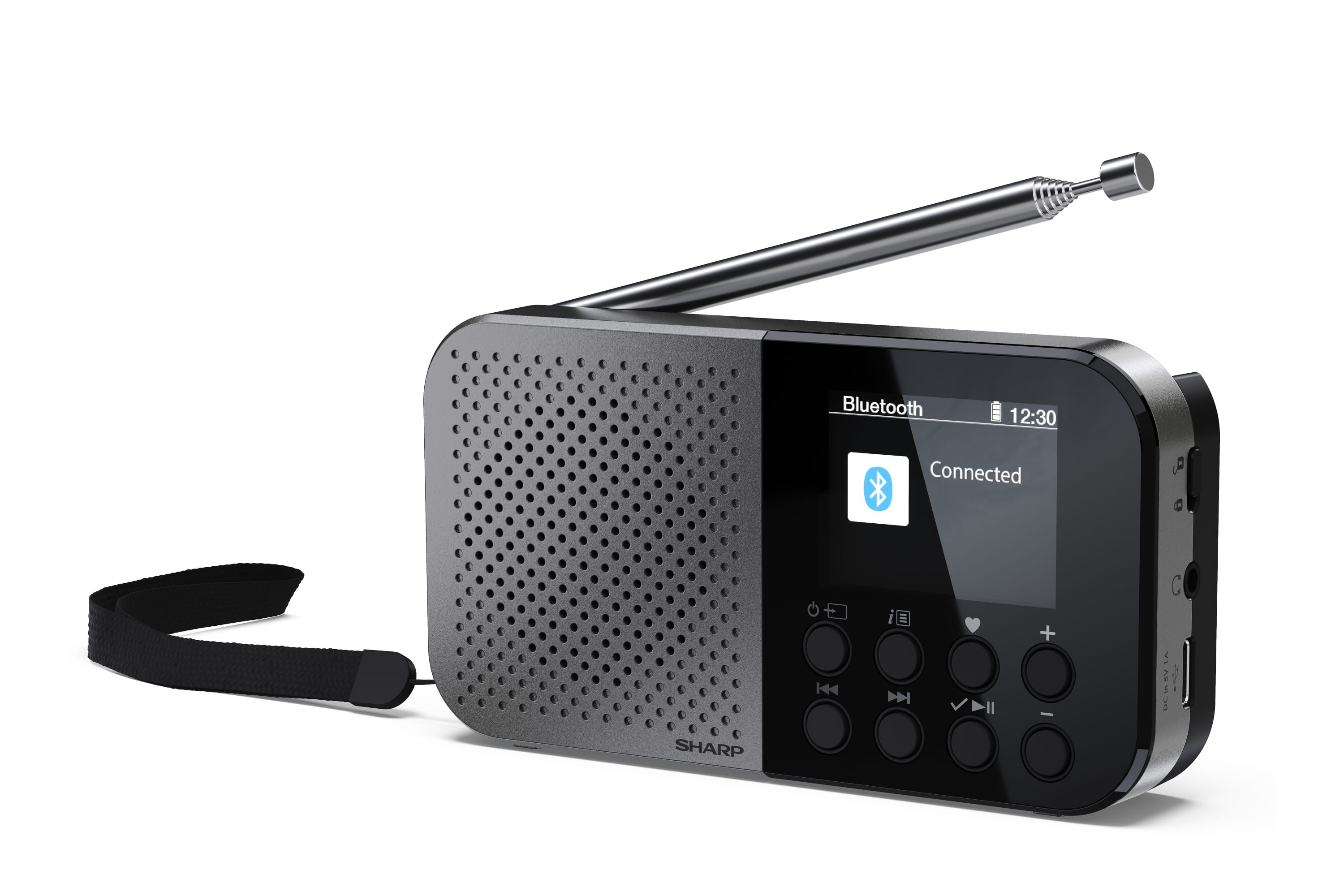 Sharp DR-P520 Portable DAB+ Radio with Bluetooth - Grey