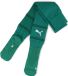 Puma Voetbalsokken TeamFinal Socks 705746