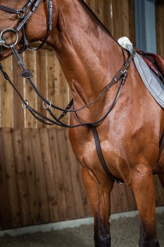 Dy on Running Martingale Working Collection - Brown - Pony