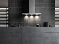 Miele DA 4298 W Puristic Plus - Hotte - 870 m³/h - Inox - A++