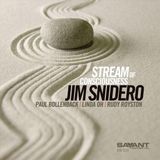 Stream Savant Stream of Consciousness - Jim Snidero (CD)