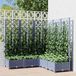 Maison Exclusive - Jardinière avec treillis bleu-gris 120 x 120 x 121,5 cm PP