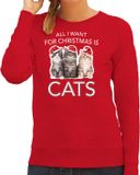 Bellatio Decorations Kitten Kerst sweater / kersttrui All I want for Christmas is cats rood voor dames - Kerstkleding / Christmas outfit XL