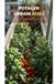 Potager urbain 2025 :: Cultivez vos légumes sur un balcon
