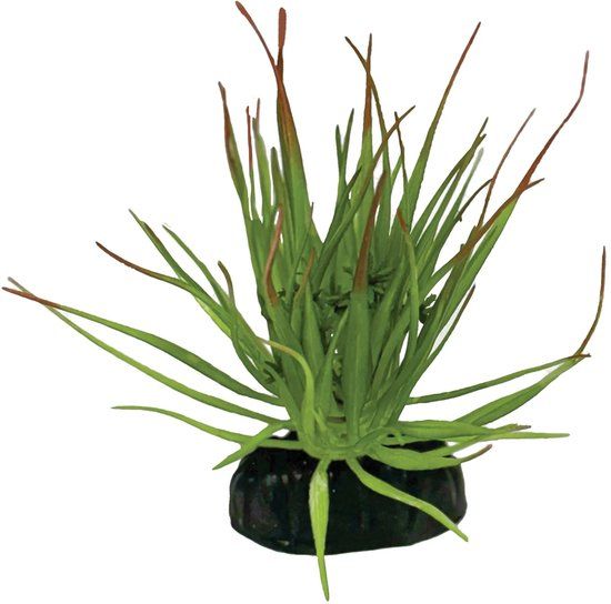 Repto Tillandsia Ion terrariumkunstplant 7 x 8 x 11 cm