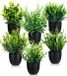 Ibenzoa® Kunstplanten set van 6 met zwarte potten