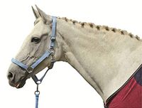 HKM Halster -Stars Economy- babyblauw Cob