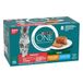 Purina ONE Natvoer voor katten, voor volwassenen, gesteriliseerd, kip, 48 x 85 g