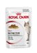 Royal Canin Pouch Adult Instinctive kattenvoer In Gelei
