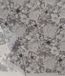 Roeckl Flower Wind Sjaal Wol Gebloemd Vrouwen Silvergrey 80x180 cm