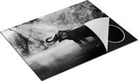 Chefcare Inductie Beschermer Olifant in het Water - Zwart Wit - 77x59 cm