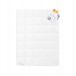AMZ Zabel Luxe Ganzendons Dekbed 200x220cm Blanc
