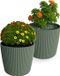 Prosperplast Plantenpot/bloempot Buckingham - 2x - buiten/binnen - groen - D17 x H15 cm