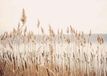 Naklejkomania Magnetische radiatoromsluiting, beige, boho-stijl, riet, 60x100 cm