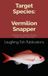 Target Vermilion Snapper: A Fisherman's Guide to Chasing Scarlet Jewels of the Deep