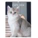 DRAEGER PARIS Wandkalender katten 2024