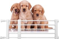 Merkloos / Sans marque Wan GmbH Veiligheidshek Hond - Hondenpoort Puppyhek - Huisdieren Binnen Houden - Schaalbaar Intrekbaar Ontwerp - 39-135 cm Breed - Wit