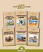 Phonic Books The Fact Files 4: Alternative Spellings, and Latin Suffixes