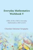Everyday Mathematics Workbook V
