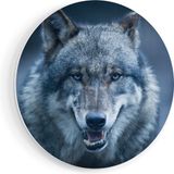 Artaza Forex Muurcirkel Wolvenkop Met Blauwe Ogen - Wolf - 50x50 cm - Wandcirkel