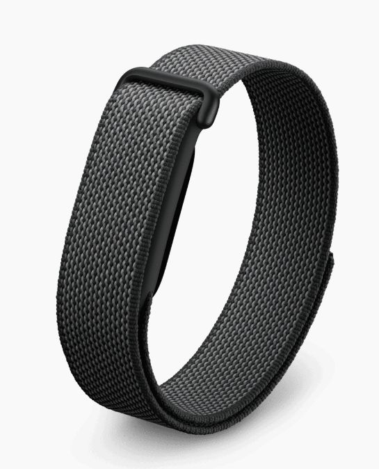 Fitbit Google Fitbit Air Obsidian