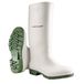 Dunlop Pricemastor Klassieke regenlaarzen voor dames en heren, rubberlaarzen, waterdicht, pvc, licht, chemicaliënbestendig, antislip, wit/groen, maat 41