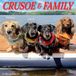 Crusoe Willow Creek Press Crusoe the Celebrity Dachshund 2027 12 X 12 Wall Calendar