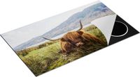 Chefcare Inductie Beschermer Schotse Hooglander 90x55 cm - Multicolor