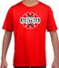 Bellatio Decorations Have fear Austria is here t-shirt met sterren embleem in de kleuren van de Oostenrijkse vlag - rood - kids - Oostenrijk supporter / Oostenrijks elftal fan shirt / EK / WK / kleding 110/116