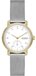 Skagen Kuppel Lille SKW3101 Horloge - Zilverkleurig - Ø 32 mm - Dames