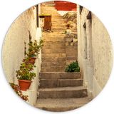 Merkloos / Sans marque PVC Muurcirkel - Trap in Steegje met Planten - 70x70 cm - Forex - Rond