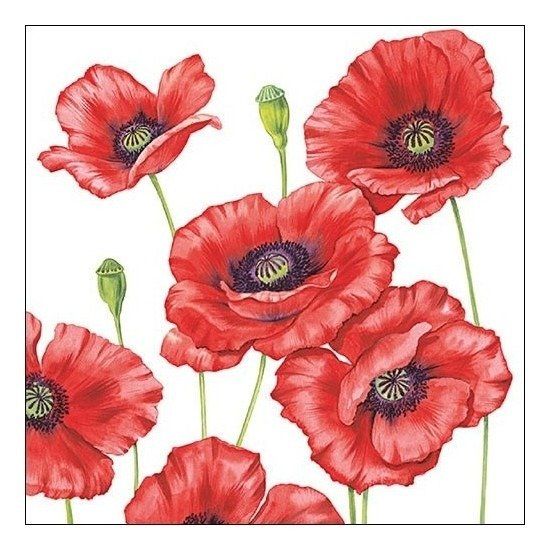 Ambiente Klaprozen/poppy bloemen servetten 33 x 33 cm - 20 stuks