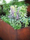 Saremo Edelrost Verhoogde Tuinbed - 140x80x60 cm