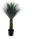 Buitengewoon Boet Kunstplant Yucca Rostrata in Pot Groen - 90 cm