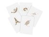 Clairefontaine 104536C - Een Notitieboekje met Genaaide Rug Flying Spirit - 96 Gelinieerde Pagina's Ivoorpapier 90g - 14,8x21 cm - Witte Gelamineerde Kartonnen Omslag - Willekeurige Illustratie
