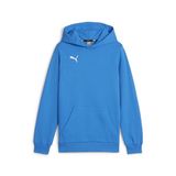 PUMA teamGOAL Casuals Hoody Jr Jongens sporttrui