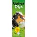 CAROUSEL CALENDARS Cavia Kalender 2027 Slimline