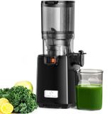 Sapsap Slowjuicer avec pressage à froid - 250 W - 1,8 litre de capacité - Sans BPA